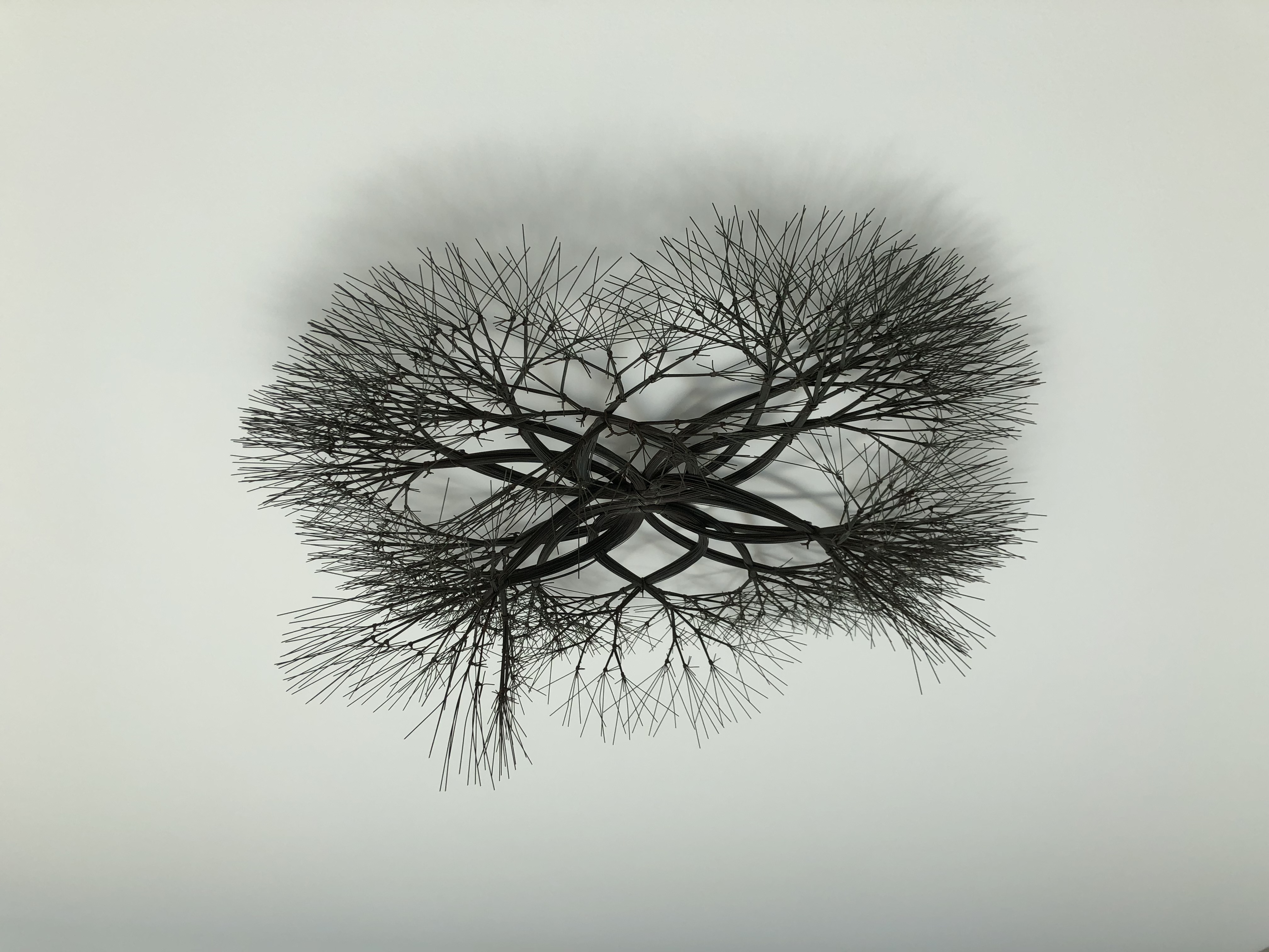 Ruth Asawa: Life’s Work