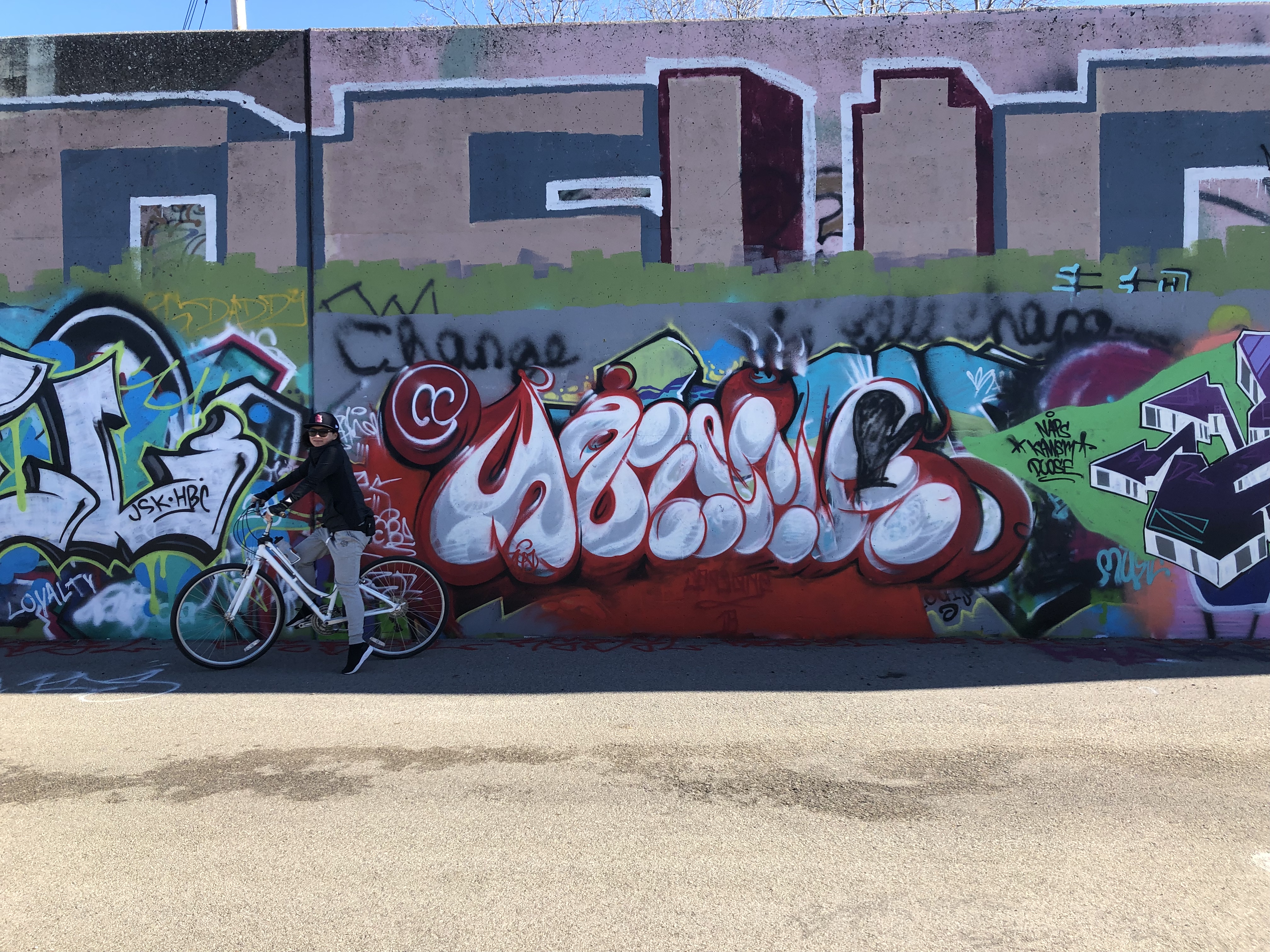 Graffiti Piece from Paint Louis 2018