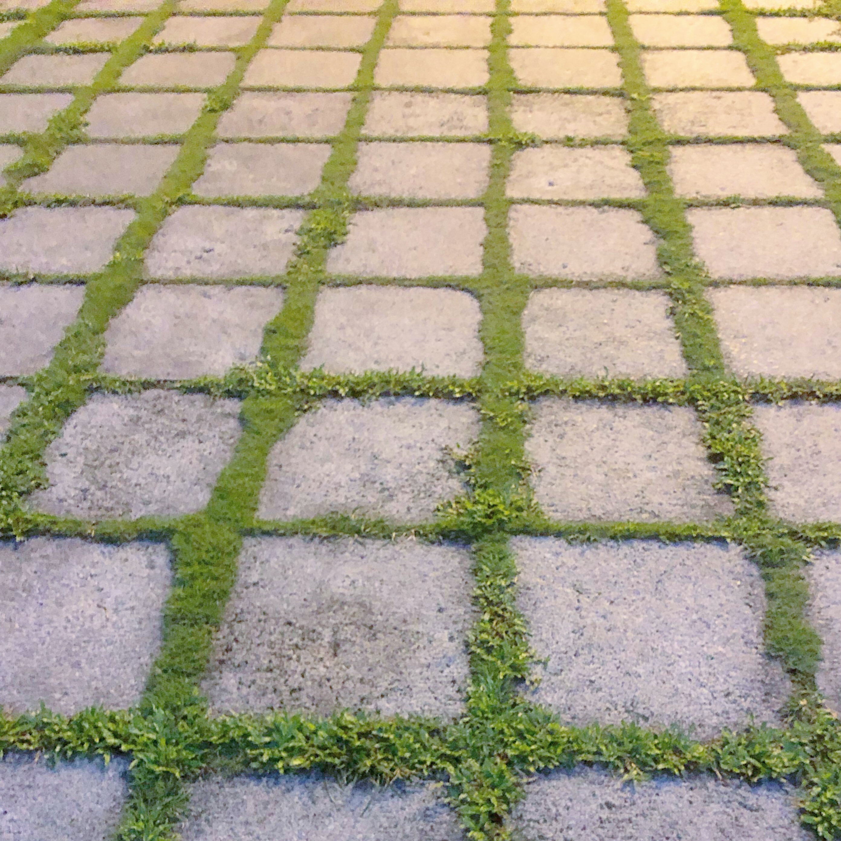 Fabricatorz Garden 1.0