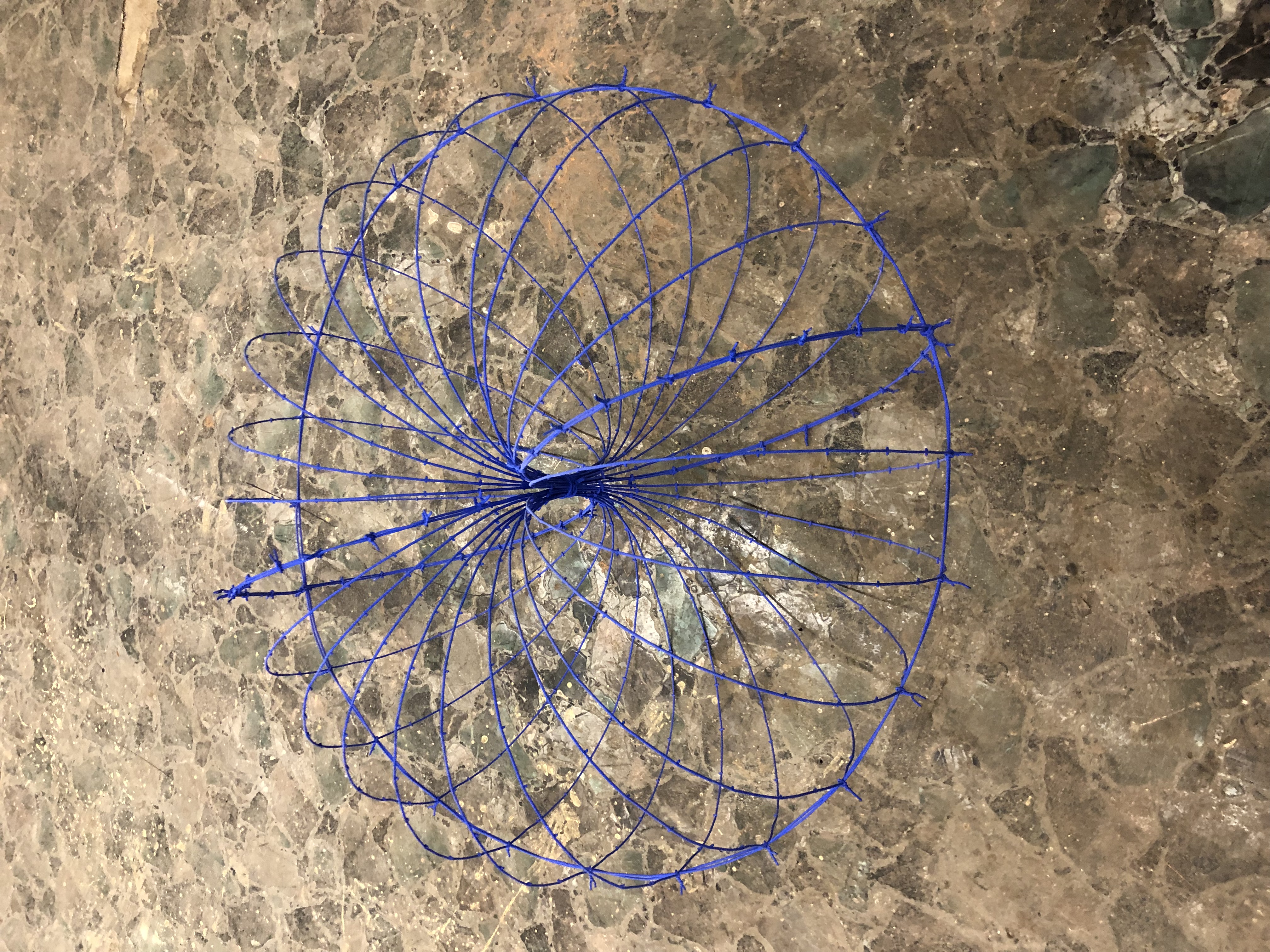 Polar Analysis