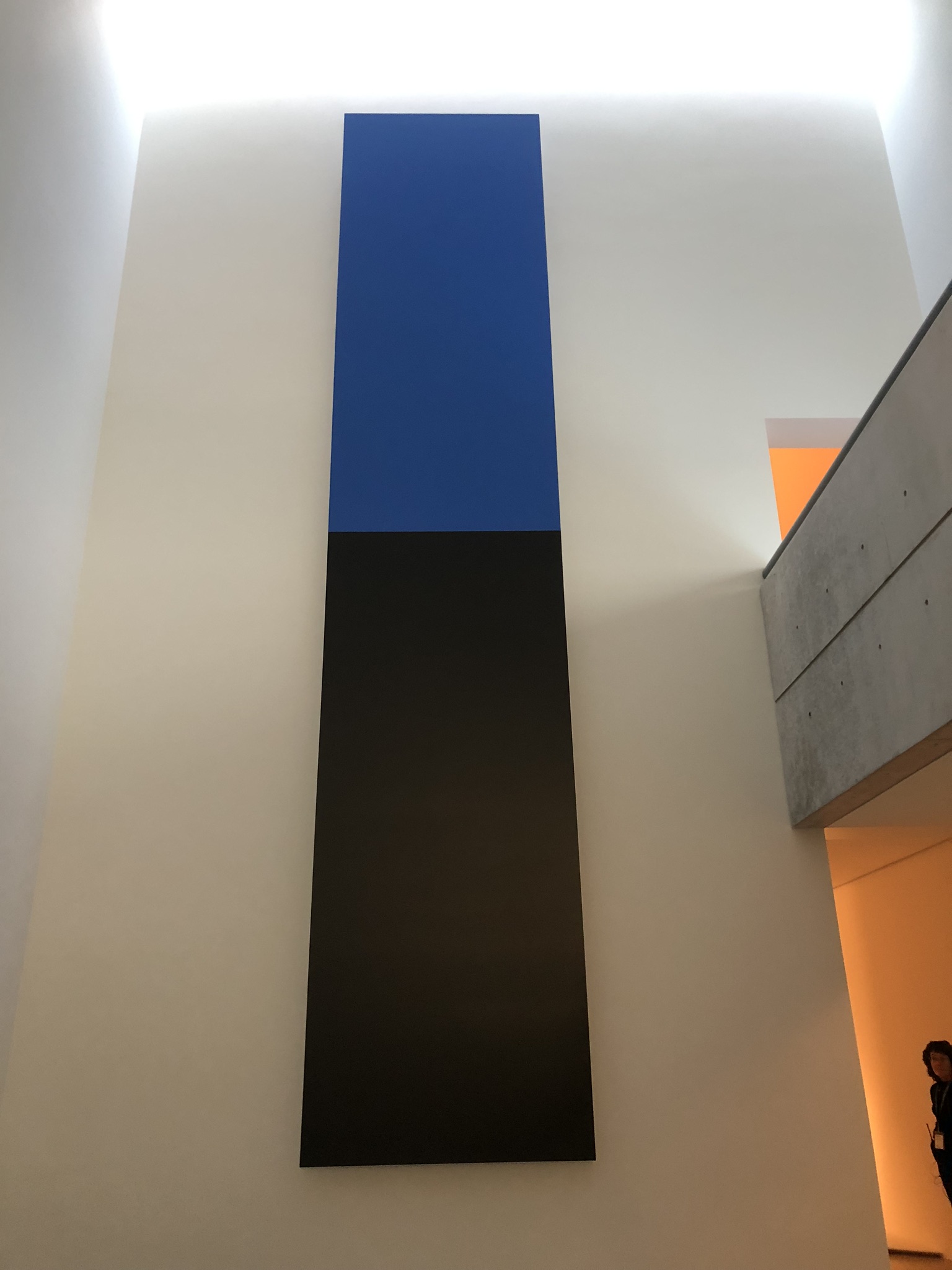 Blue Black