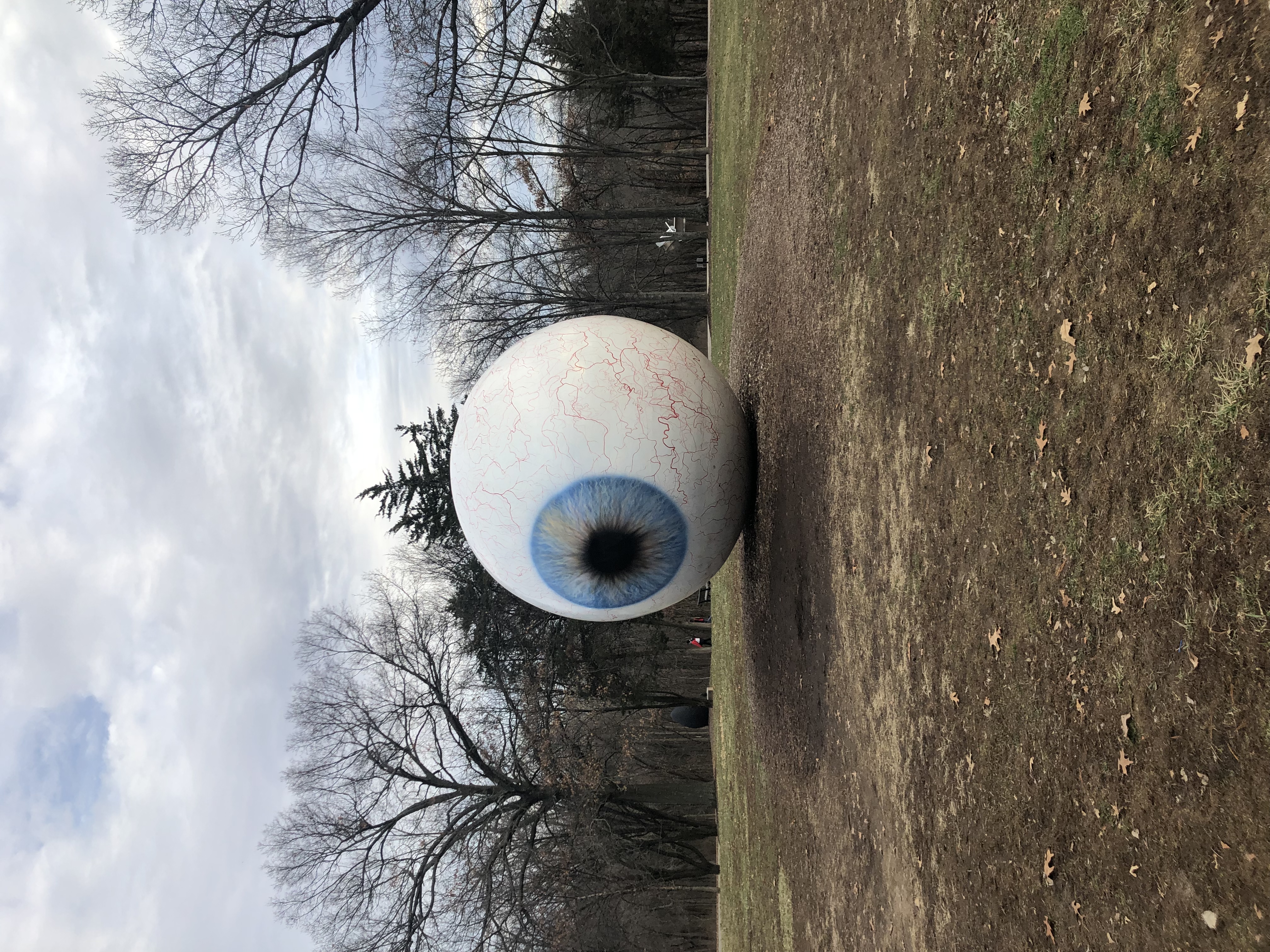 Eye