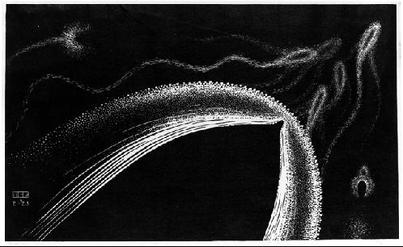 Dolphins in Phosphorescent Sea