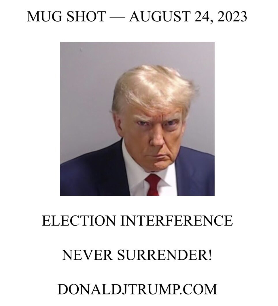 President Donald Trump Mugshot