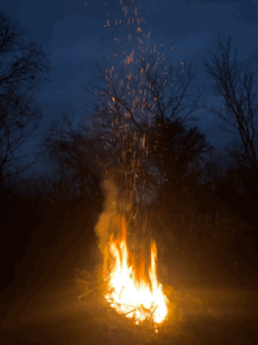 Missouri Fire