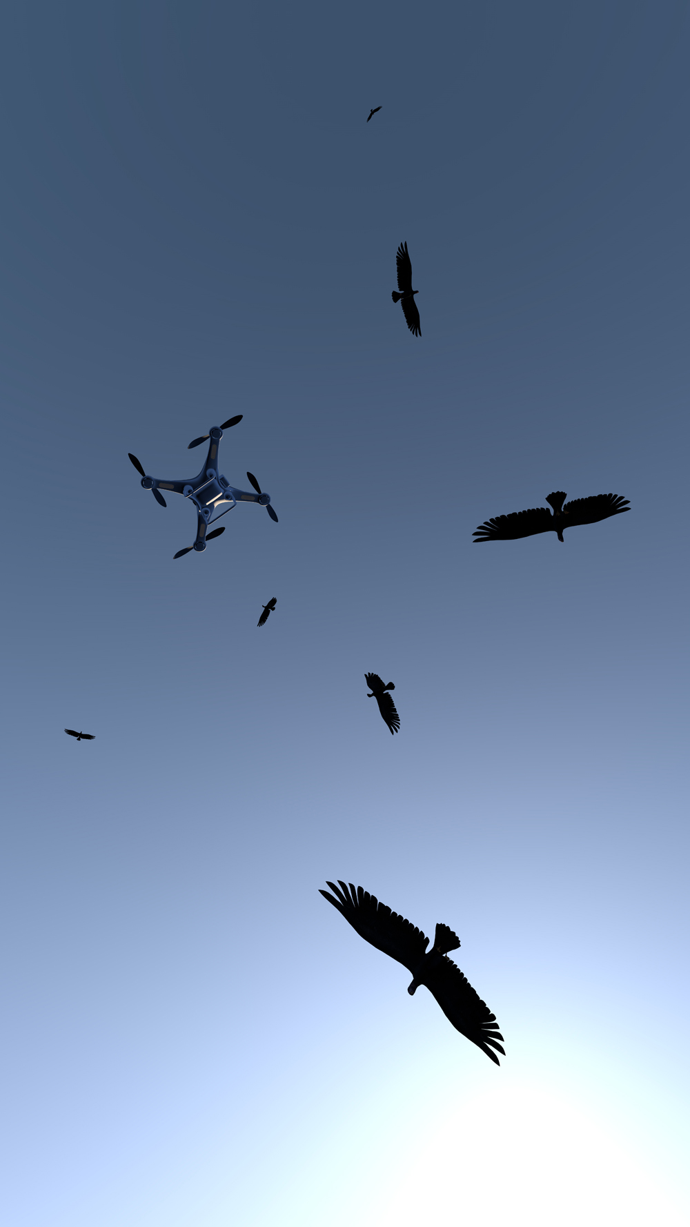 Circling