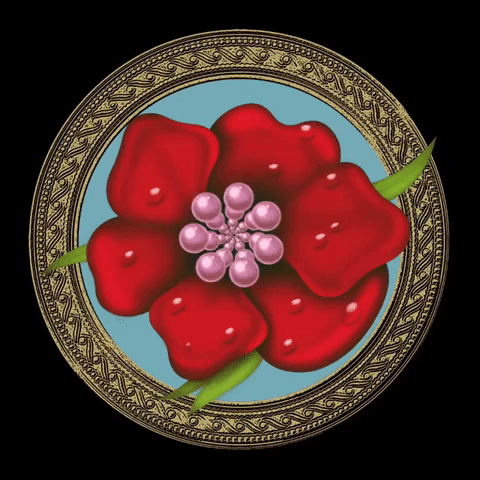 The Flower