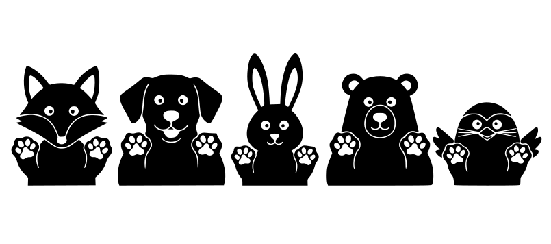 Five Animals