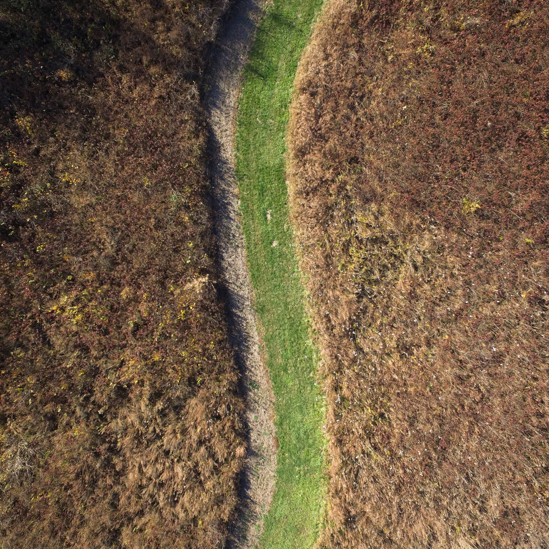 Undisclosed Location (Path)