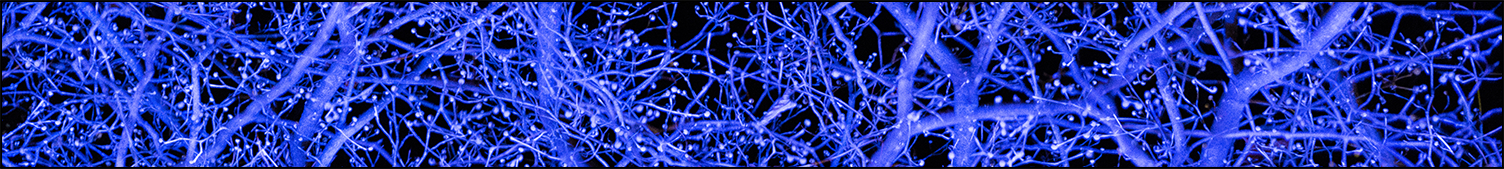 Blue December