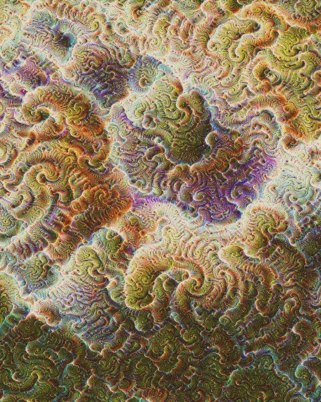 Coral Reefs