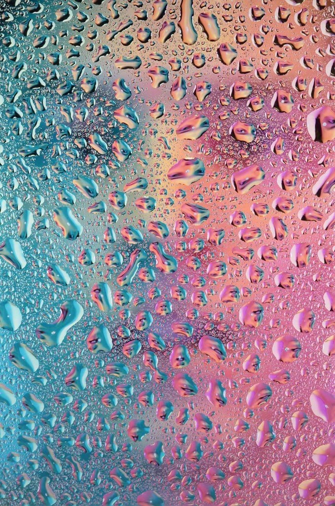 Droplet Portrait: Rollin
