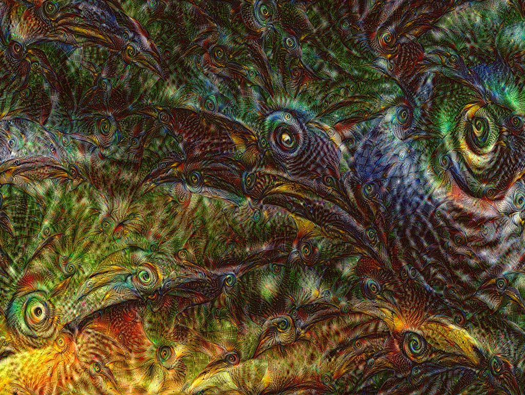 Bird Eyes 1