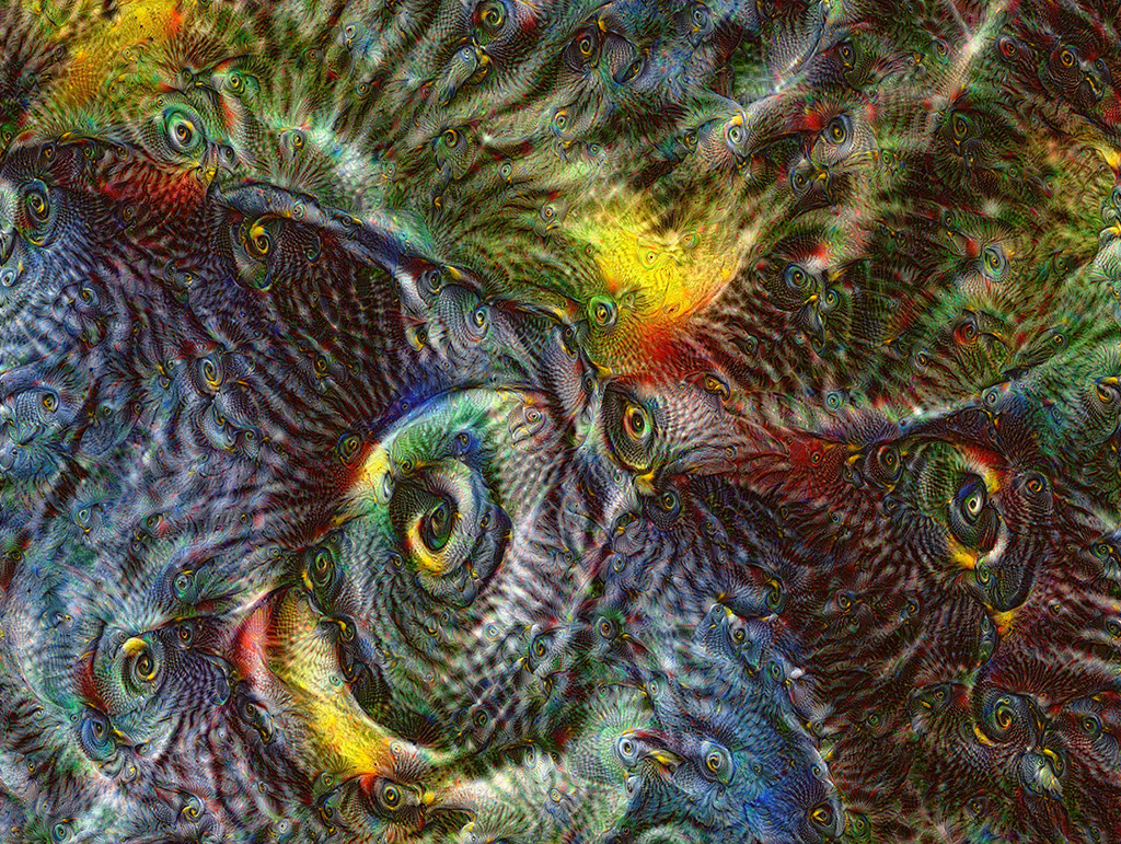 Bird Eyes 2